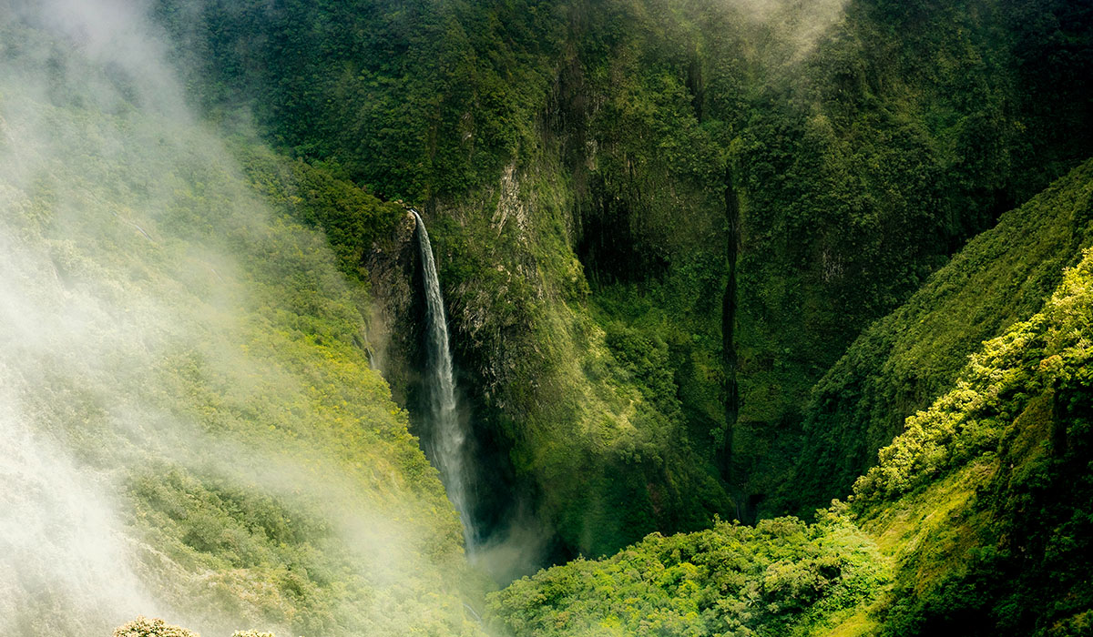 Vers un Tourisme Eco-responsable à La Réunion